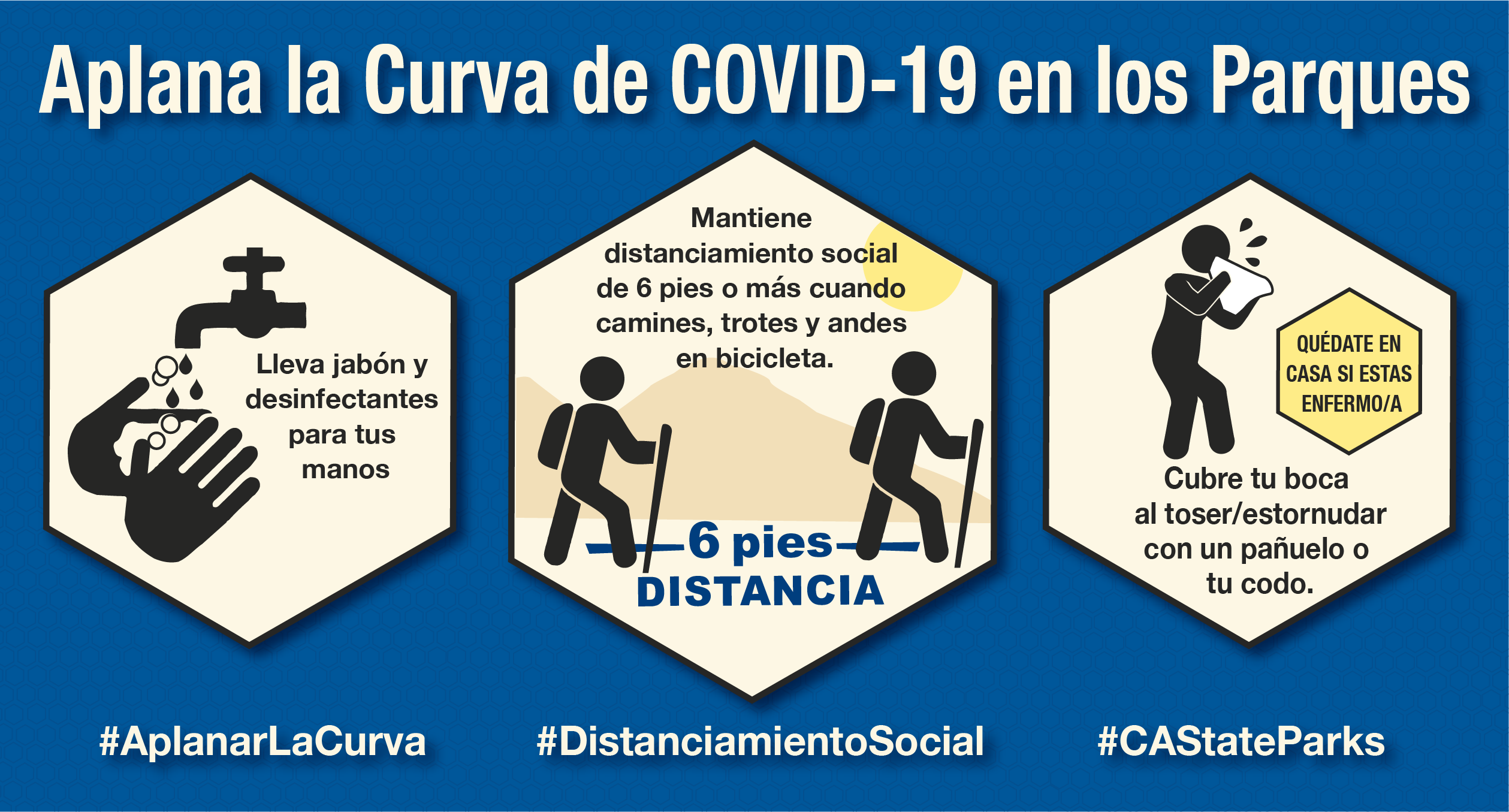 Aplana la Curva de COVID-19 imagen